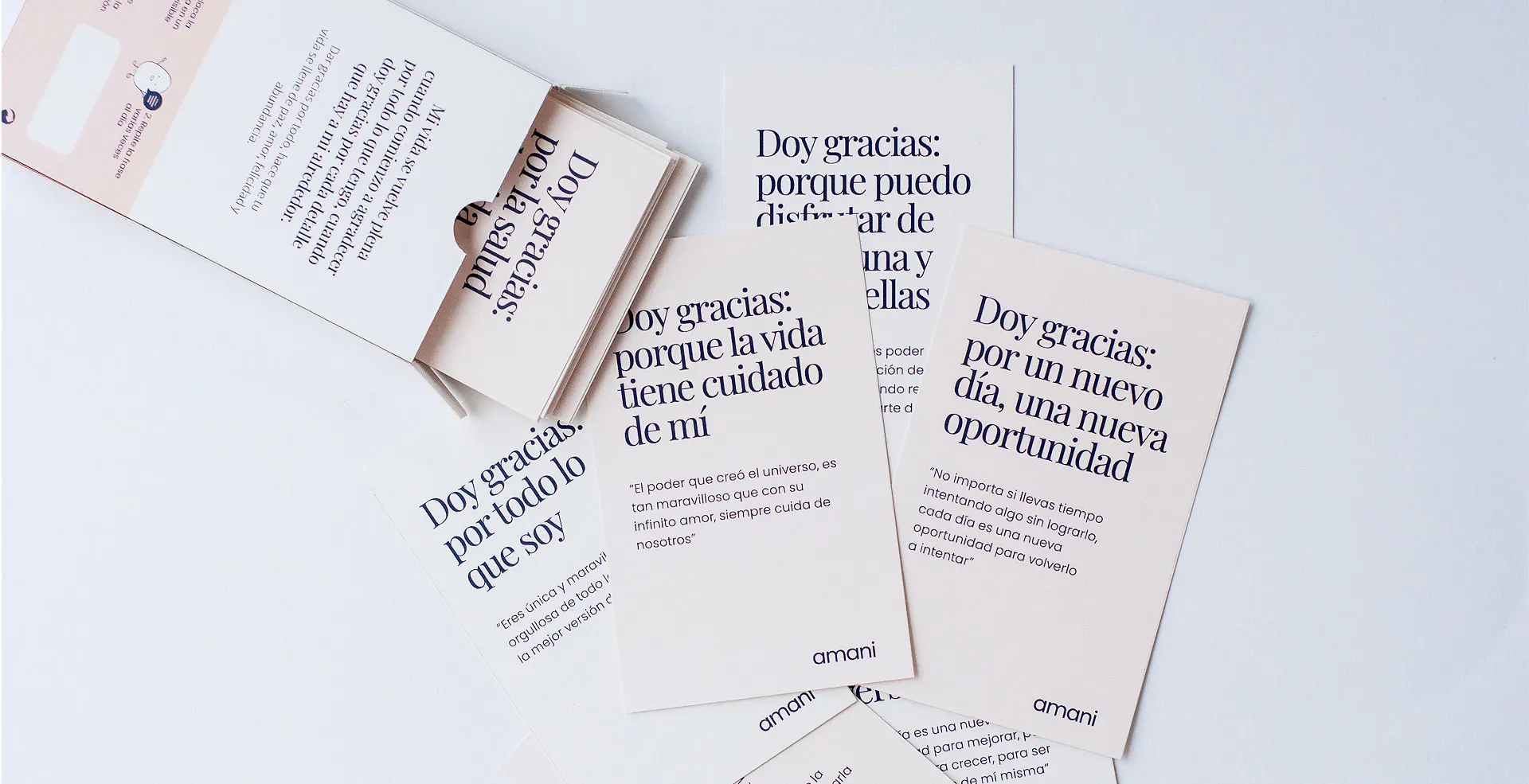 Salsas Gordini Gourmet