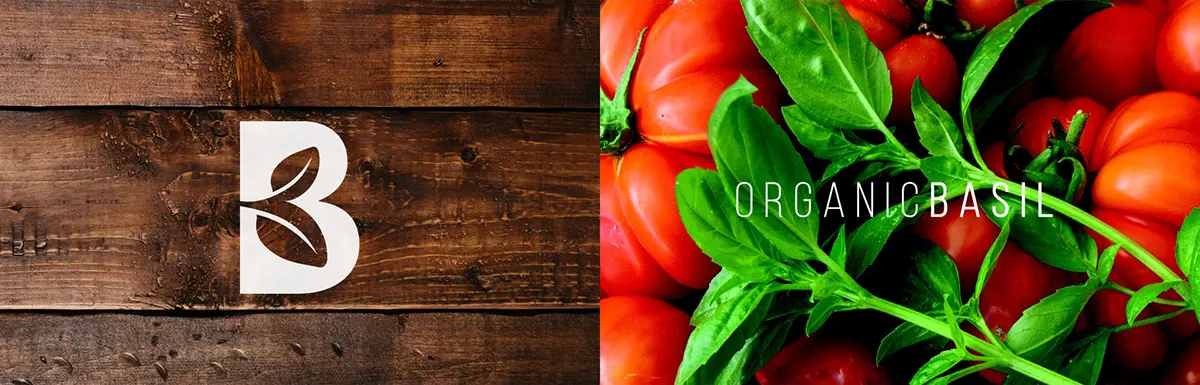 Salsas Gordini Gourmet